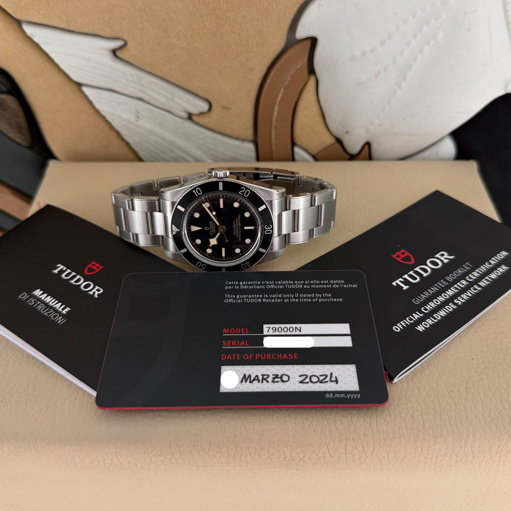 Tudor Black Bay 54 79000N 1