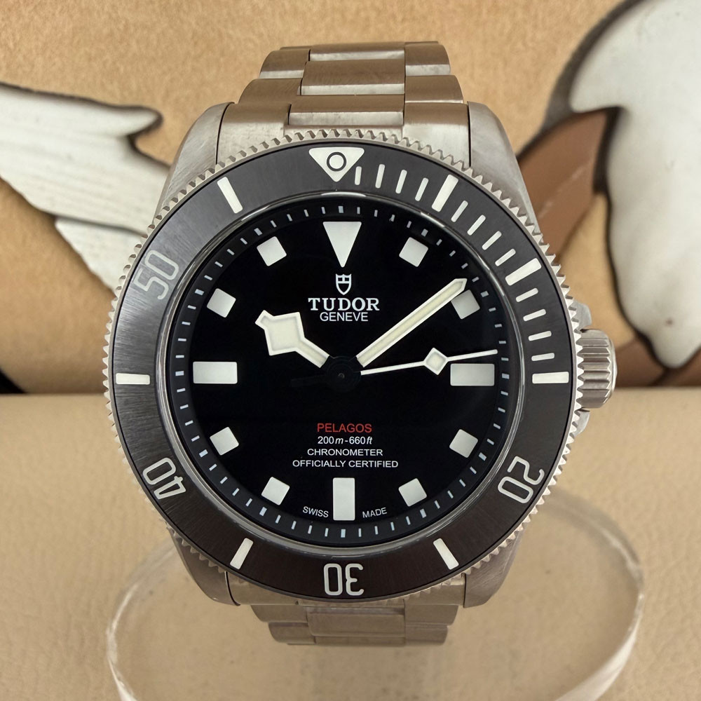 Tudor Pelagos 25407N 0