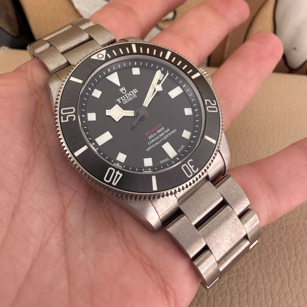 Tudor Pelagos 25407N 10