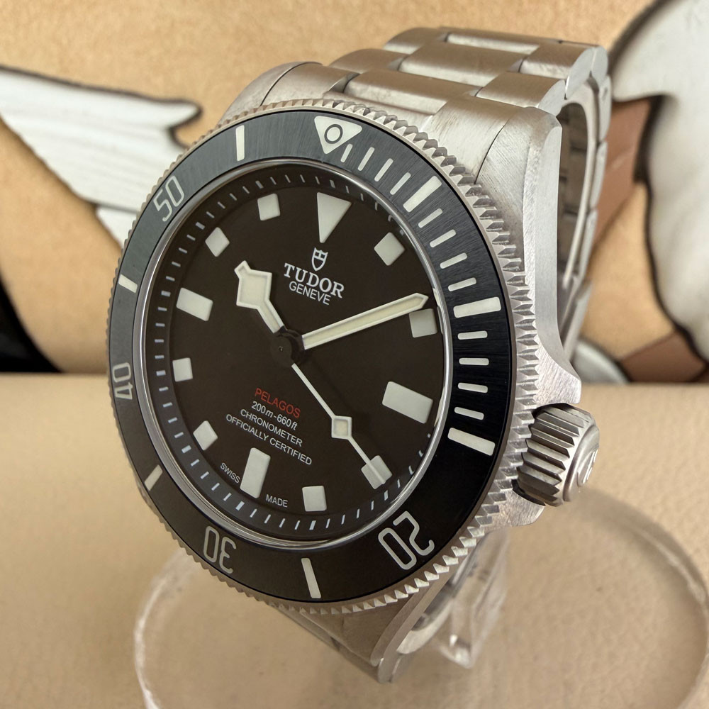Tudor Pelagos 25407N 2
