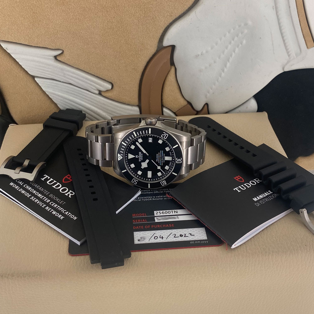 Tudor Pelagos 25600TN 1