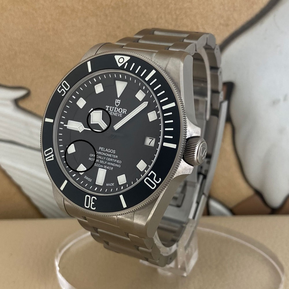 Tudor Pelagos 25600TN 2