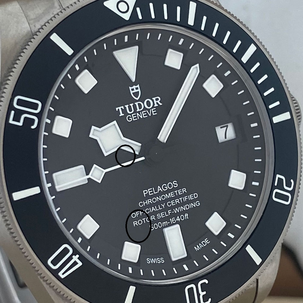 Tudor Pelagos 25600TN 6