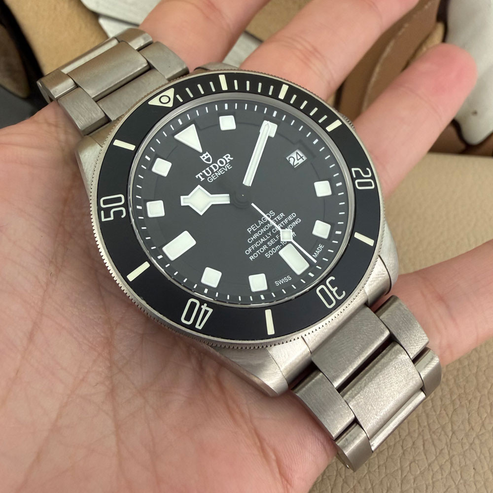 Tudor Pelagos 25600TN 10