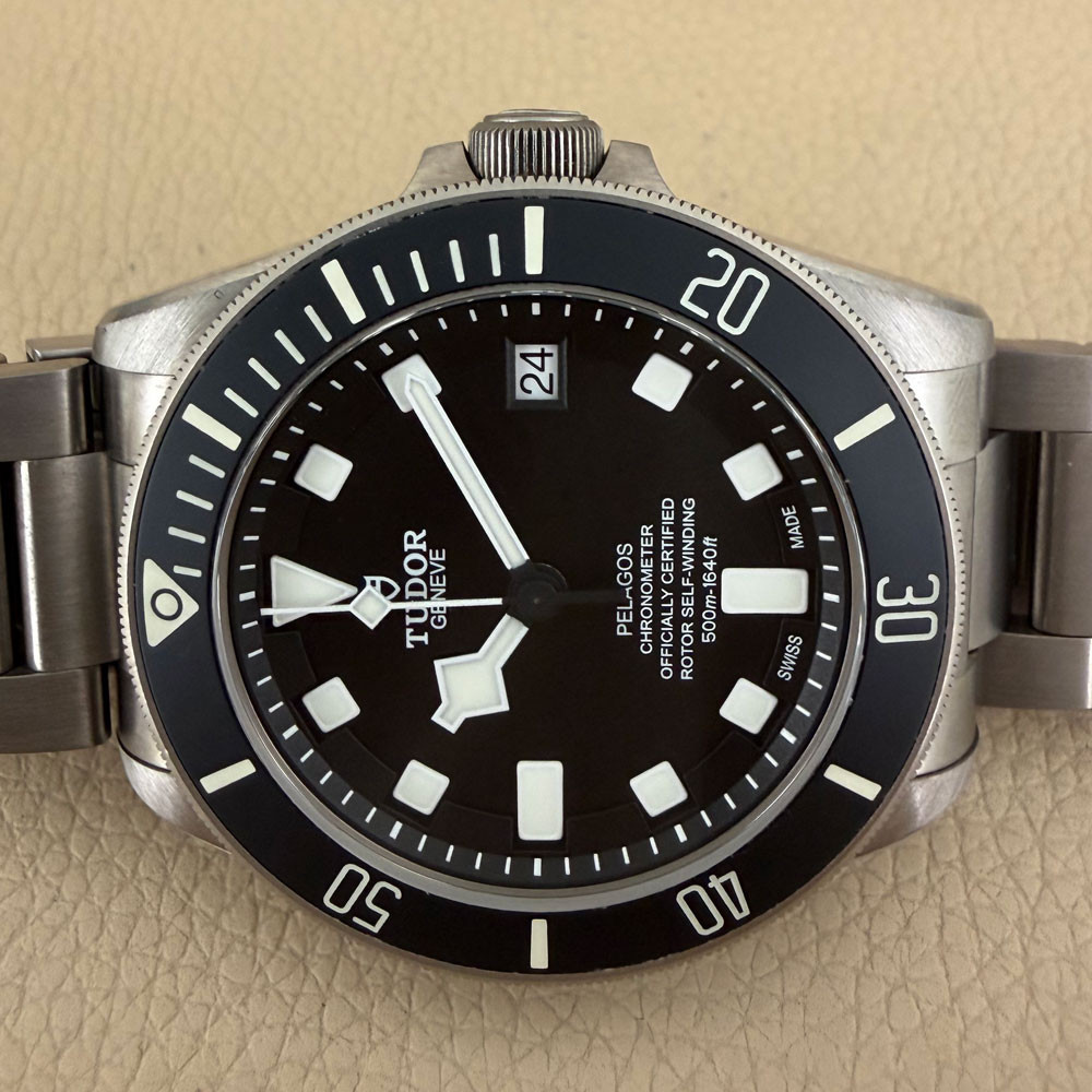 Tudor Pelagos 25600TN 15