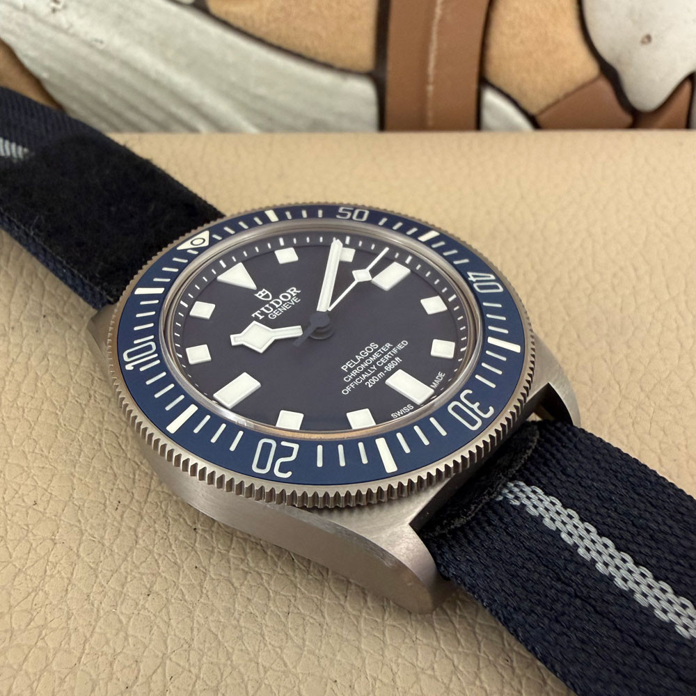 Tudor Pelagos FXD 22 25707B/22 12