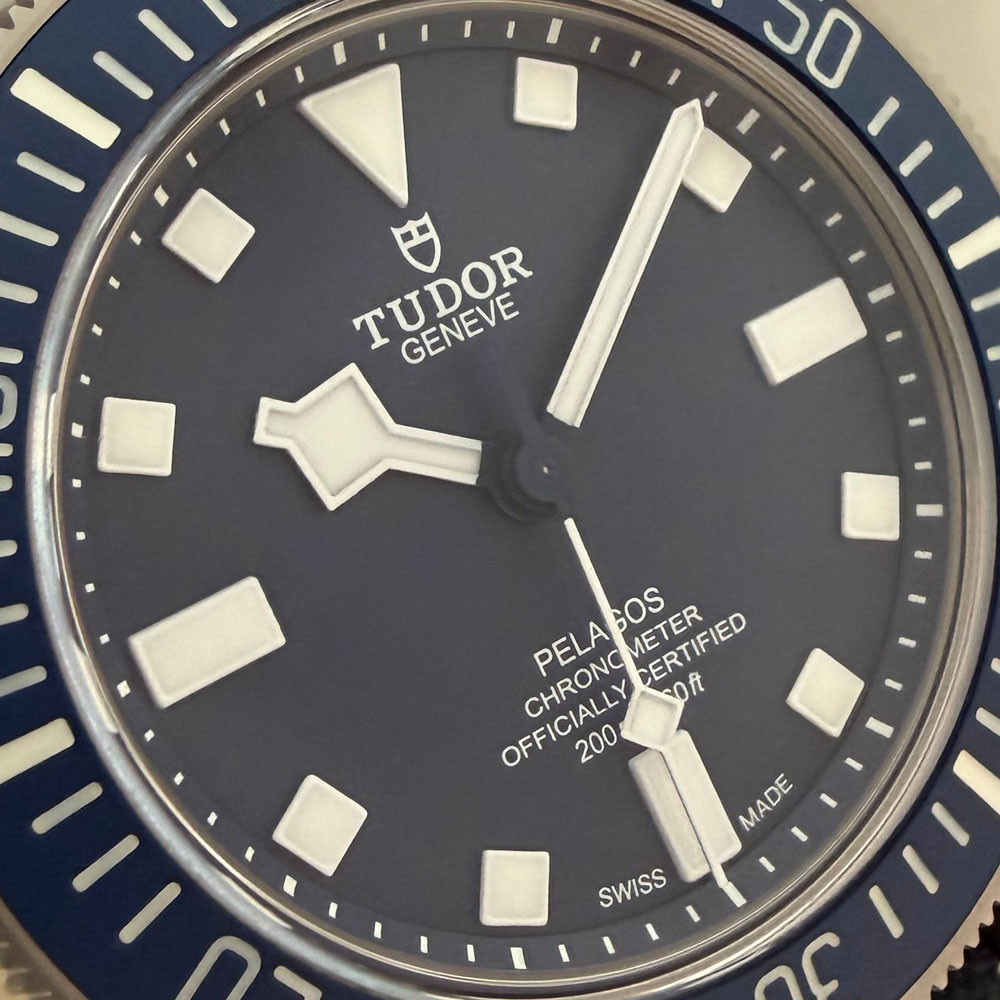 Tudor Pelagos FXD 22 25707B/22 6
