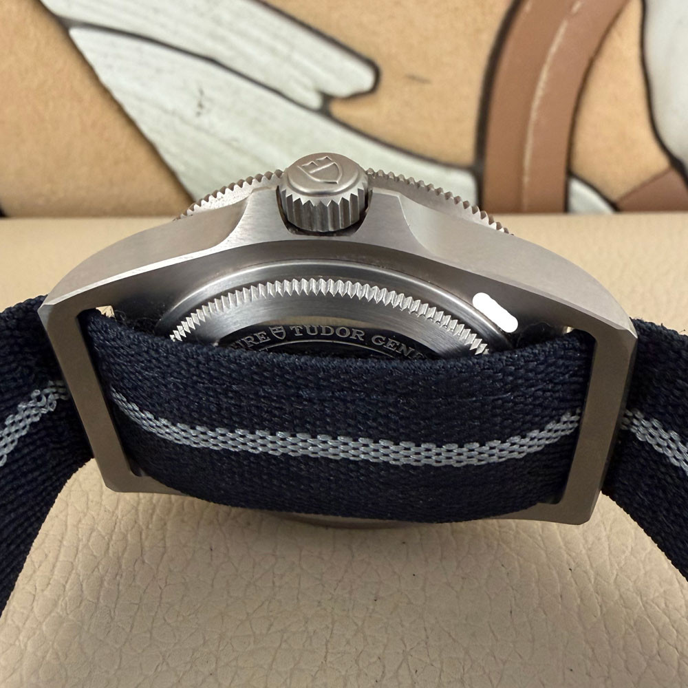 Tudor Pelagos FXD 22 25707B/22 8