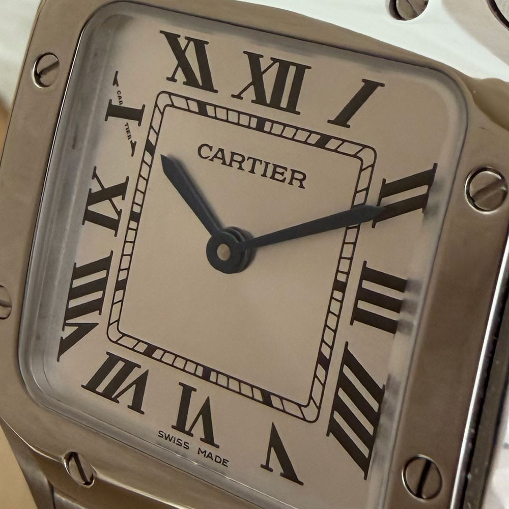Cartier Santos Small WSSA0082 4626 5