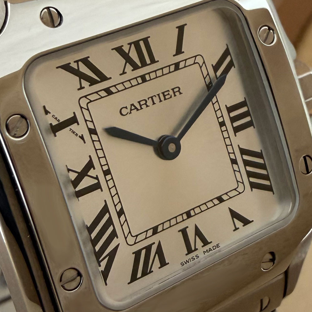 Cartier Santos Small WSSA0082 4626 6