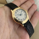 Cartier Cougar Lady 887921 10