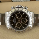 Rolex Daytona Chromalight 116520 15