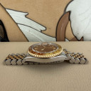 Rolex GMT-Master II Tiger Eye 16713 11