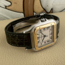 Cartier Panthere 1100 12