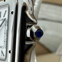Cartier Panthere Lady Modello Piccolo WSPN0006 4177 4