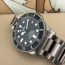 Tudor Pelagos 25600TN 14